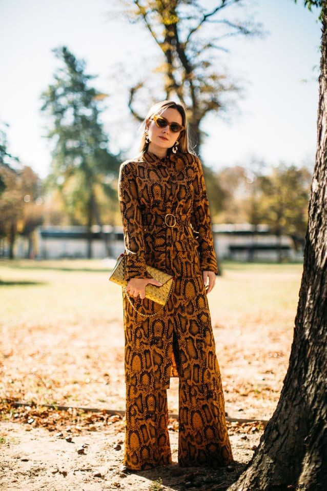 Expert Guide: How to Style Python Print for Effortless Chic