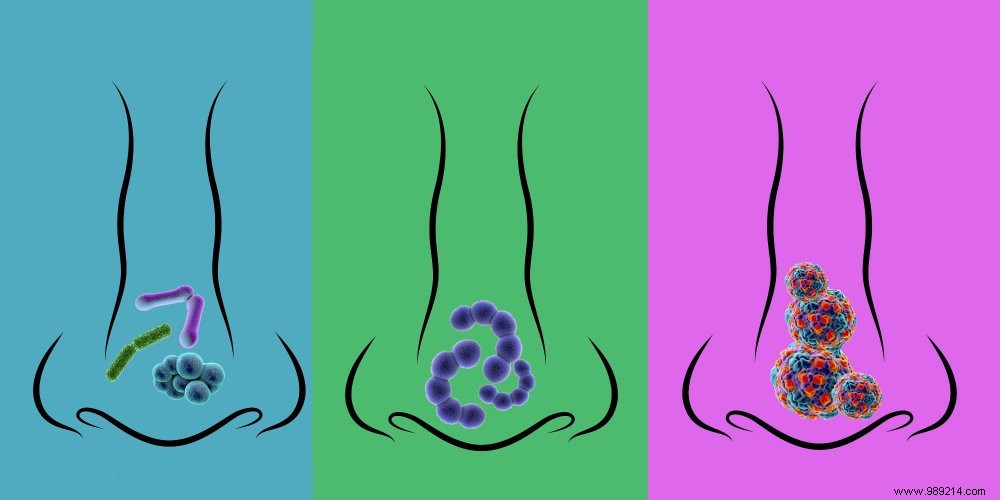 The Nasal Microbiota: Your Nose s Vital Ecosystem Against Respiratory Infections