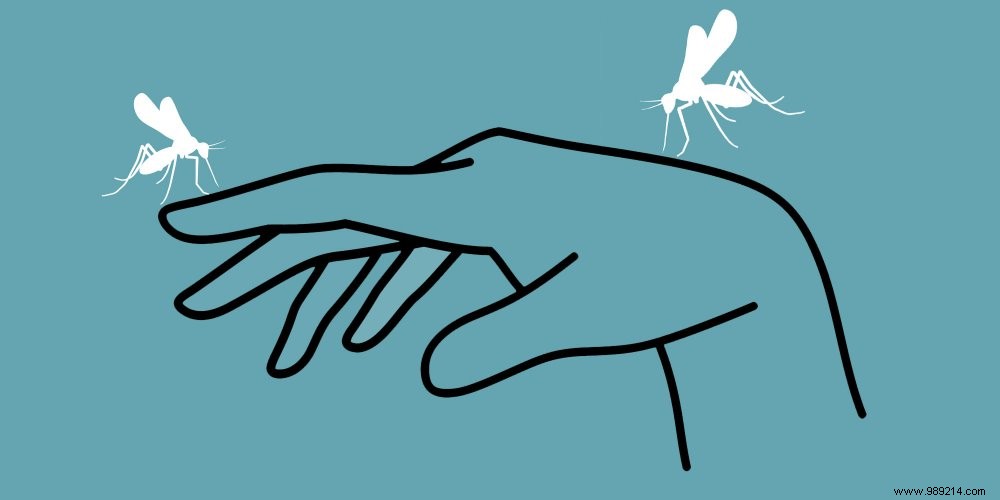 Expert Tips to Protect Yourself from Mosquitoes: Proven Repellents and Bite Relief