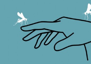 Expert Tips to Protect Yourself from Mosquitoes: Proven Repellents and Bite Relief