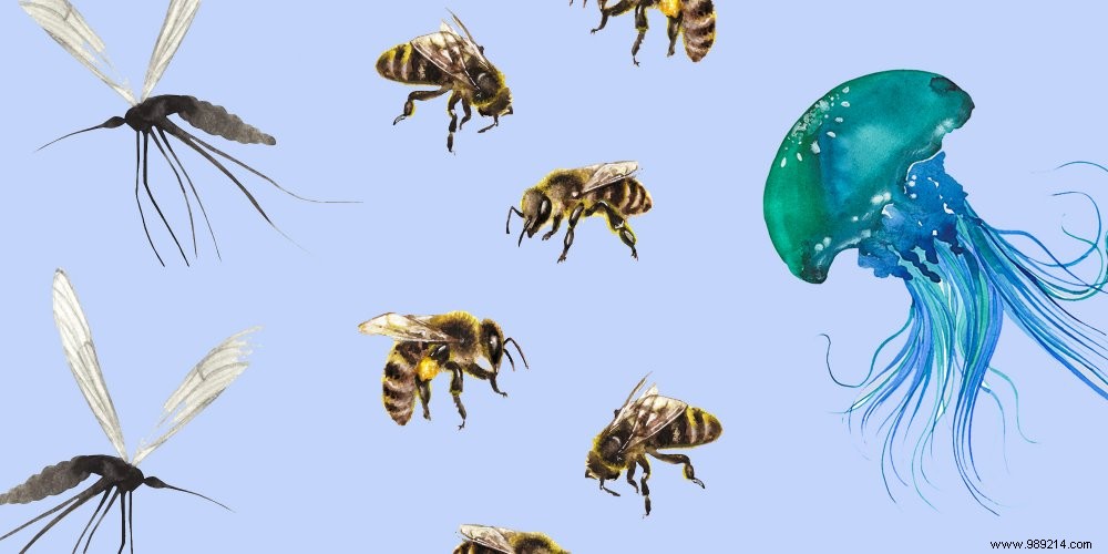 Summer Bites: Expert Tips to Treat Mosquitoes, Bees, Jellyfish, and More