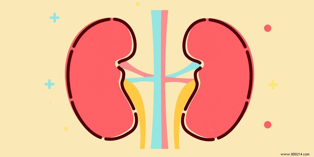How to Protect Your Kidneys: Proven Tips from Nephrology Experts