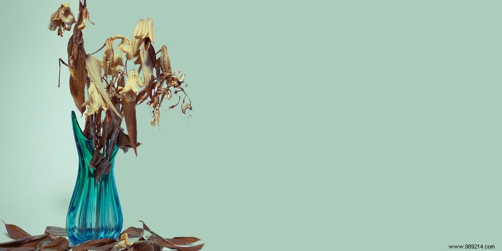 Indoor Air Pollution: The Hidden Killer in Your Home and How to Fight It