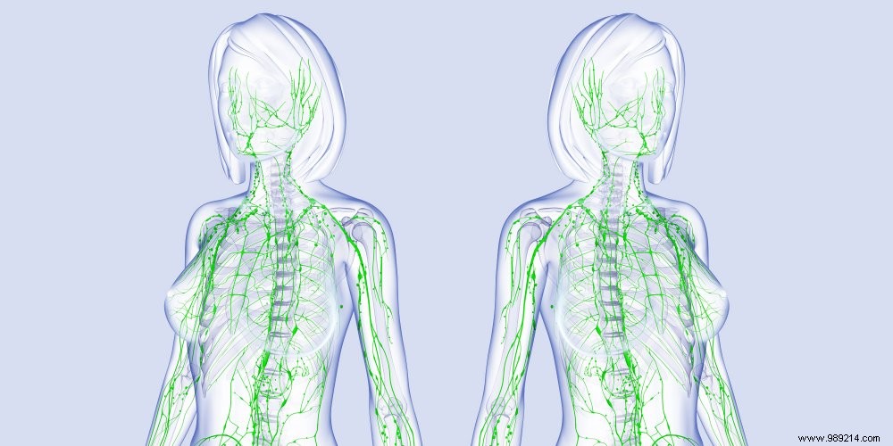 Lymphatic Drainage: Proven Benefits for Health and Beauty from Head to Toe