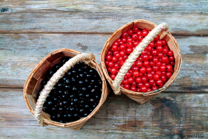 DIY Blackcurrant Face Cream Recipe: Nourish Sensitive Skin with Natural Antioxidants