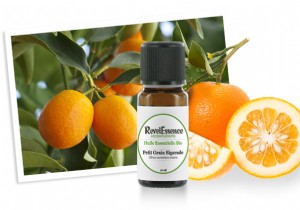 Expert Aromatherapy Guide: RevelEssence Treatments for Radiant Skin