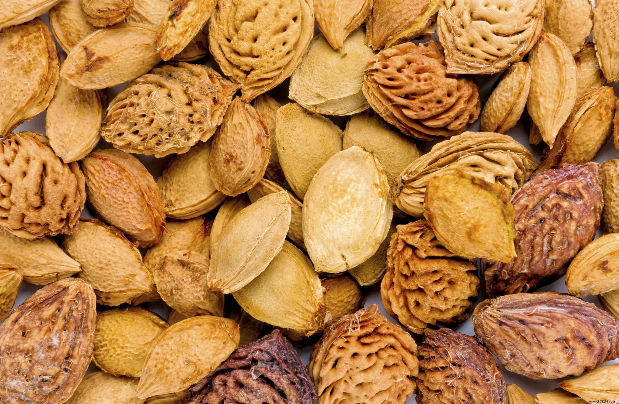 Expert Aromatherapy Guide: RevelEssence Treatments for Radiant Skin