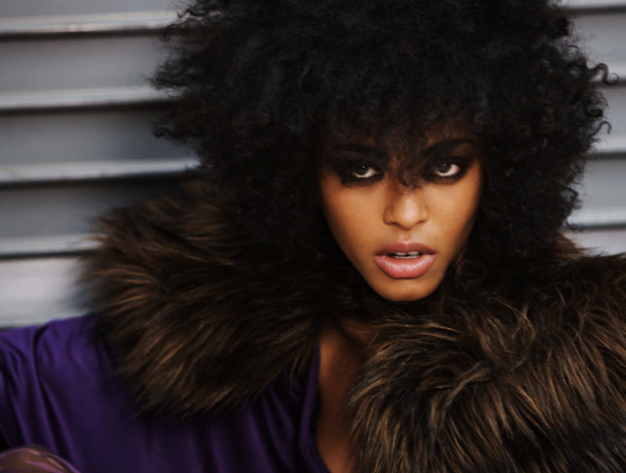 Premium Brazilian Hair Extensions: The Azraly Kit for Effortless Style