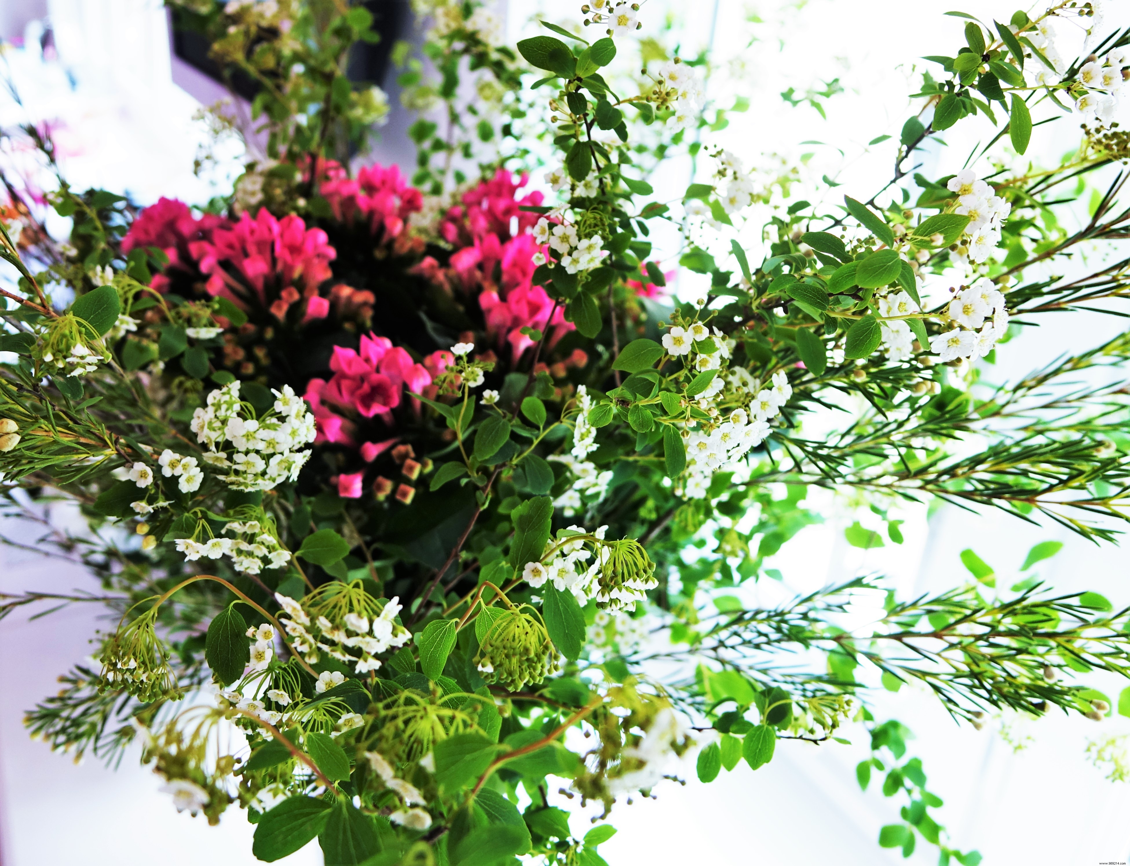 Protect Your Health from Fake Medicines: Take IRACM s Eye-Opening Quiz