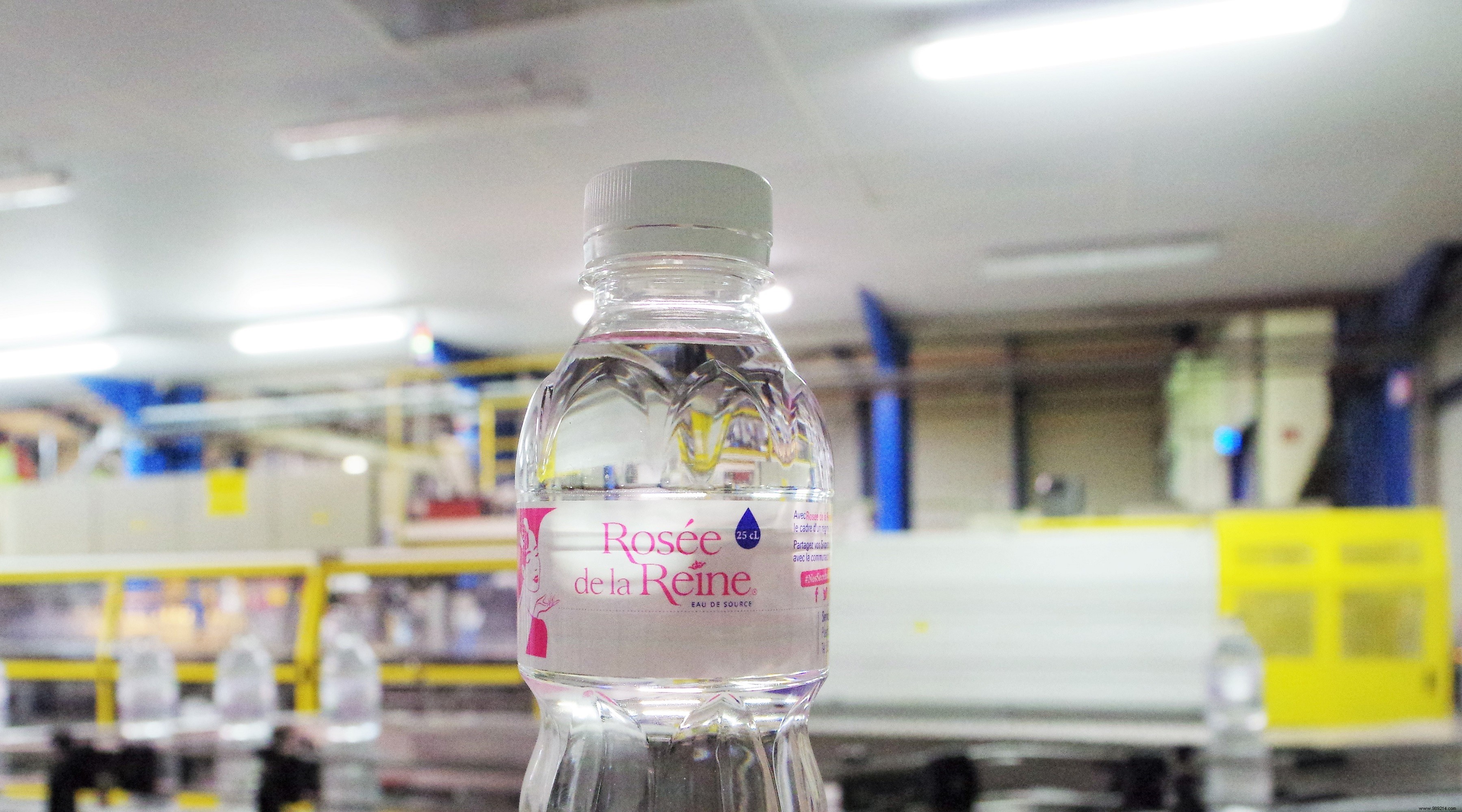 Discover  Dew of the Queen : A Firsthand Look at Pure Water s Essential Benefits for Women s Health