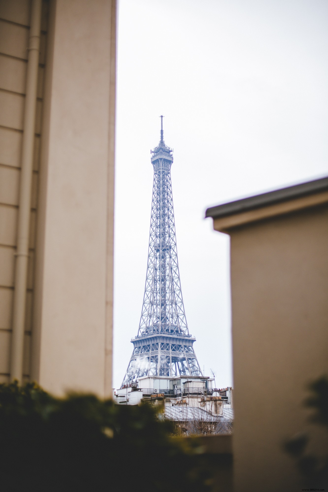 Essential Wellness Habits to Adopt This Fall 2019