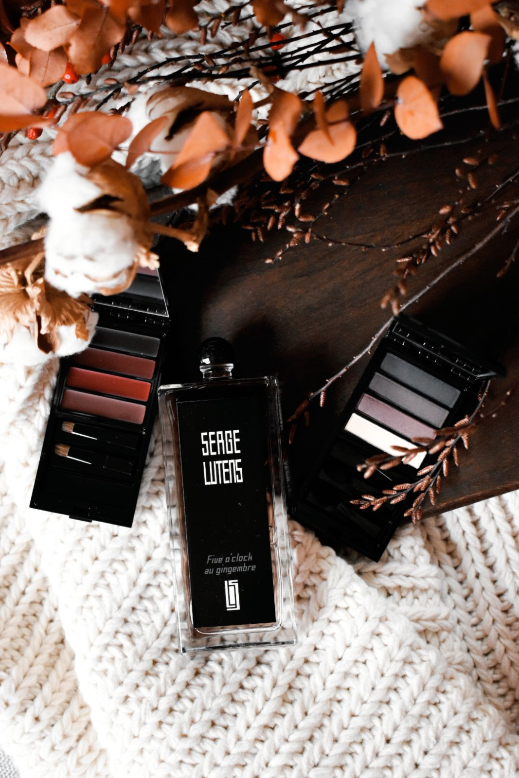 My Top Makeup and Cosmetics Picks for a Radiant January 2018