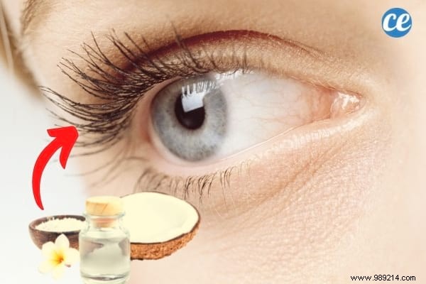 9 Proven Natural Ways to Grow Longer, Thicker Eyelashes Quickly