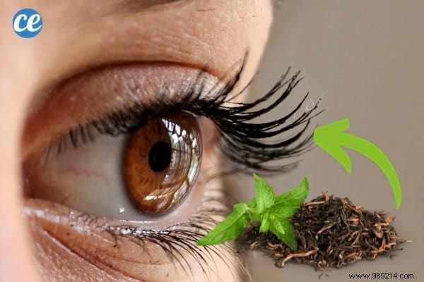 9 Proven Natural Ways to Grow Longer, Thicker Eyelashes Quickly