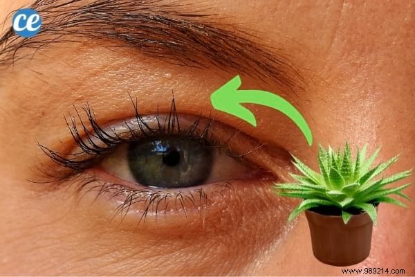 9 Proven Natural Ways to Grow Longer, Thicker Eyelashes Quickly