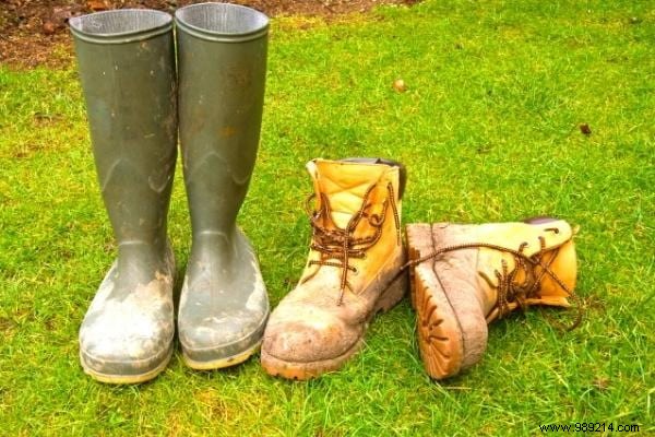 20 Proven Olive Oil Uses for Beauty, Home, Clothes, and Pets