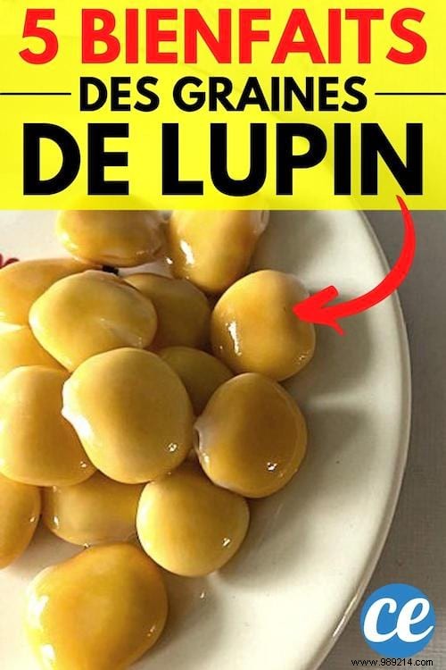 5 Science-Backed Health Benefits of Lupine Seeds (Lupini Beans)