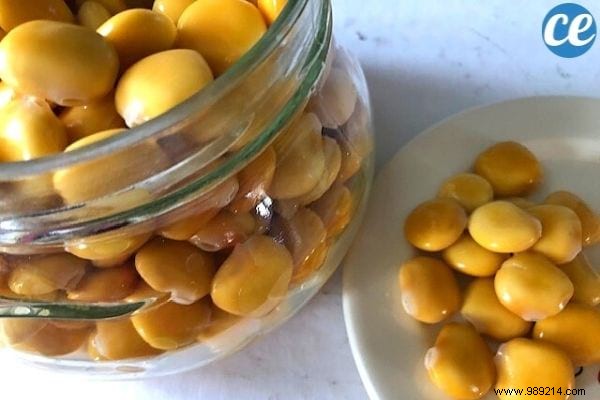 5 Science-Backed Health Benefits of Lupine Seeds (Lupini Beans)