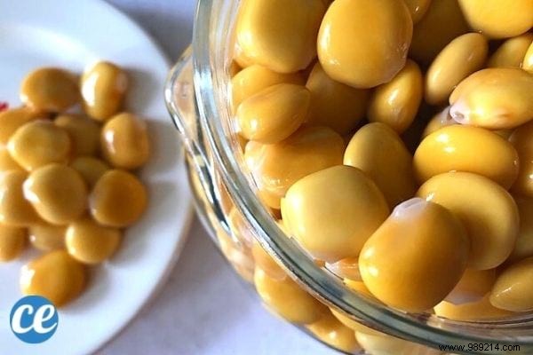 5 Science-Backed Health Benefits of Lupine Seeds (Lupini Beans)