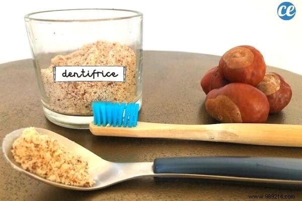 DIY Horse Chestnut Whitening Tooth Powder: Easy, Free Homemade Recipe