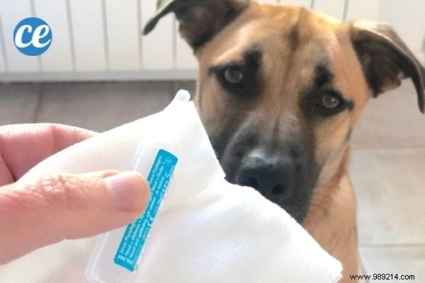 17 Proven Uses for Saline Solution: Essential Tips for Family Health, Beauty, and Home Care