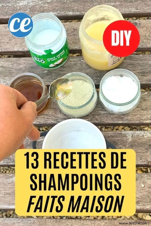 13 Simple Homemade Shampoo Recipes: Natural Alternatives to Store-Bought Products