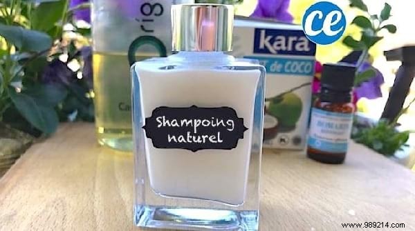 13 Simple Homemade Shampoo Recipes: Natural Alternatives to Store-Bought Products