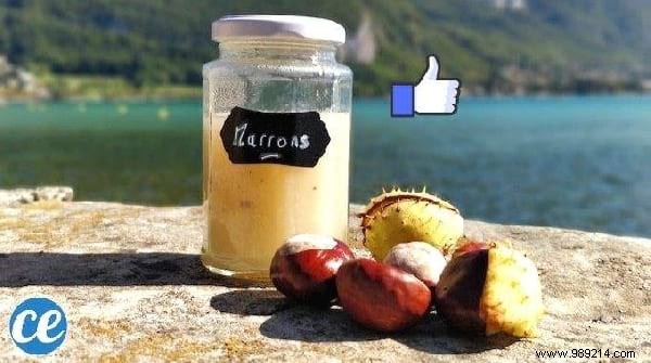 13 Simple Homemade Shampoo Recipes: Natural Alternatives to Store-Bought Products