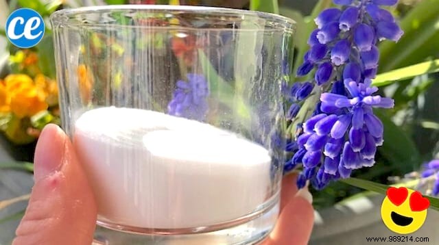 DIY Natural Deodorant: Make a 100% Chemical-Free Version in Just 1 Minute
