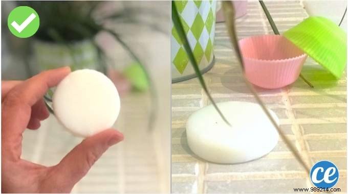 Easy DIY Solid Shampoo Recipe: Quick, Natural, and Zero-Waste