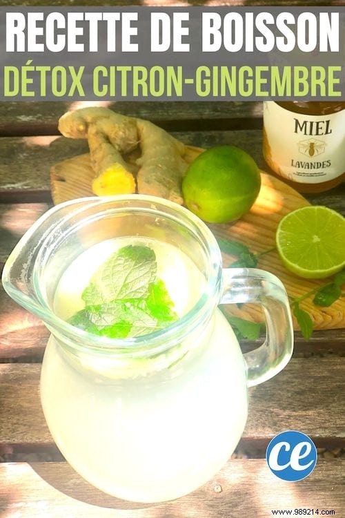 Dietician-Recommended Lemon-Ginger Detox Drink: Simple Recipe for Detox and Weight Support