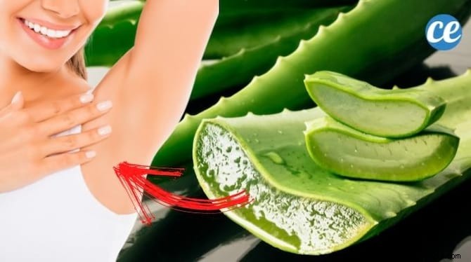 Stop Excessive Armpit Sweating Naturally: Proven Aloe Vera Remedy