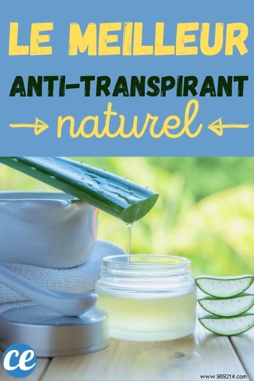 Stop Excessive Armpit Sweating Naturally: Proven Aloe Vera Remedy