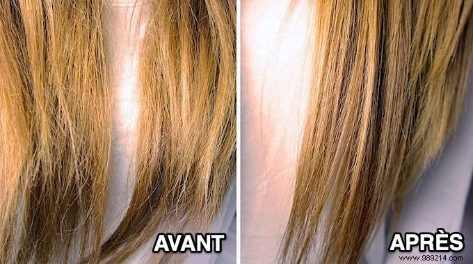 4 Proven Honey Remedies to Restore Dry, Damaged Hair Naturally