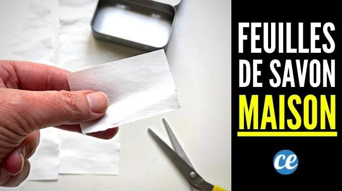 DIY Soap Sheets: Easy Homemade Recipe for Portable Travel Hygiene