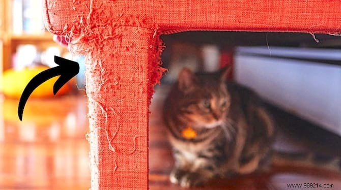 Easy DIY Fix: Remove Cat Scratches from Your Fabric Sofa