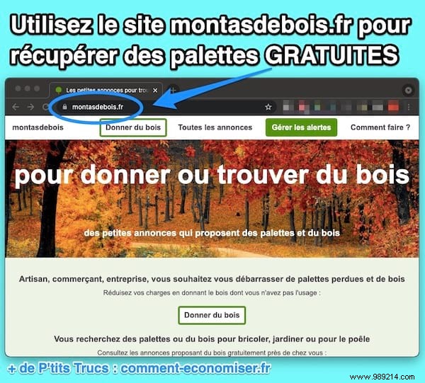 How to Source Free Wooden Pallets Near You: 5 Proven Spots + Safety Guide