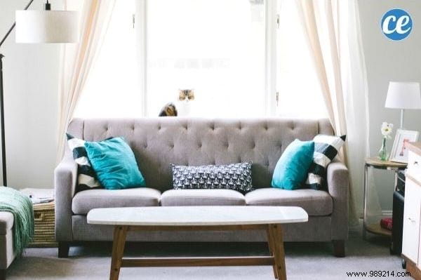 10 Expert Tips to Arrange Furniture Like a Pro in Any Room