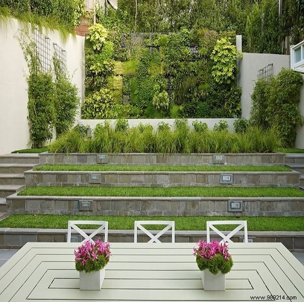 20 Expert Tips to Transform Your Small Garden and Make It Feel Larger
