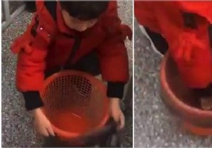 Genius Hack: Line Your Trash Bin with a Plastic Bag in Just 1 Second