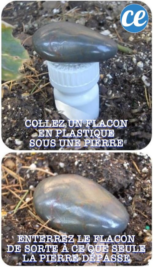 13 Clever Hiding Spots for Valuables: Secure Your Home While on Vacation