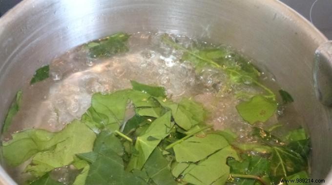 Natural Cellulite Remedy: Mom s Climbing Ivy Poultice Recipe