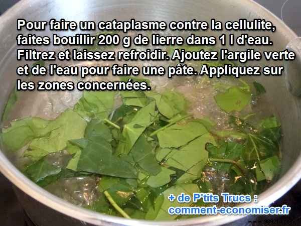 Natural Cellulite Remedy: Mom s Climbing Ivy Poultice Recipe