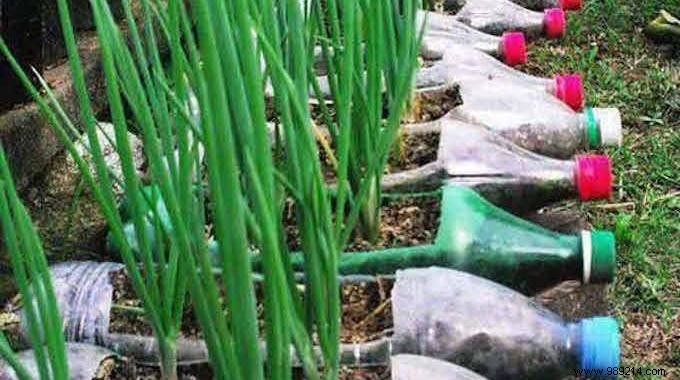 17 Genius Ways to Upcycle Plastic Bottles: Eco-Friendly DIY Projects