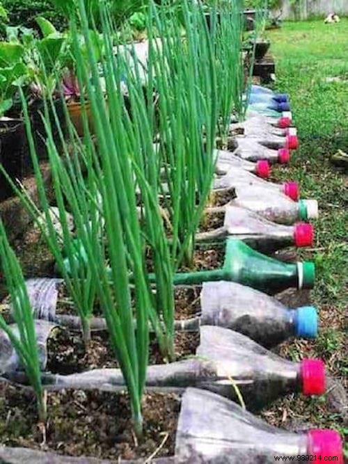 17 Genius Ways to Upcycle Plastic Bottles: Eco-Friendly DIY Projects