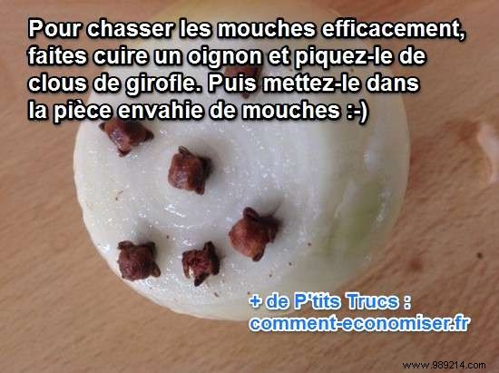 Proven Natural Fly Repellent: Simple Onion and Cloves Home Remedy