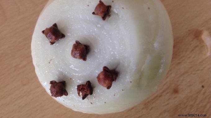 Proven Natural Fly Repellent: Simple Onion and Cloves Home Remedy