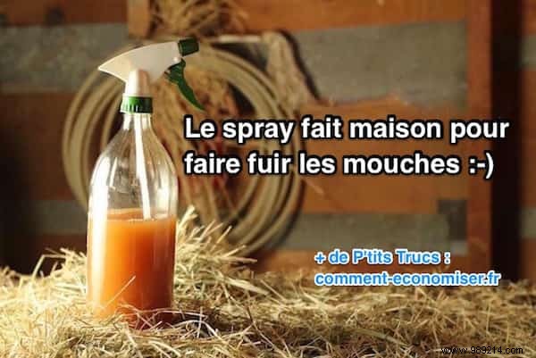 Proven Homemade Fly Repellent Spray for Horses, Cows, and Livestock