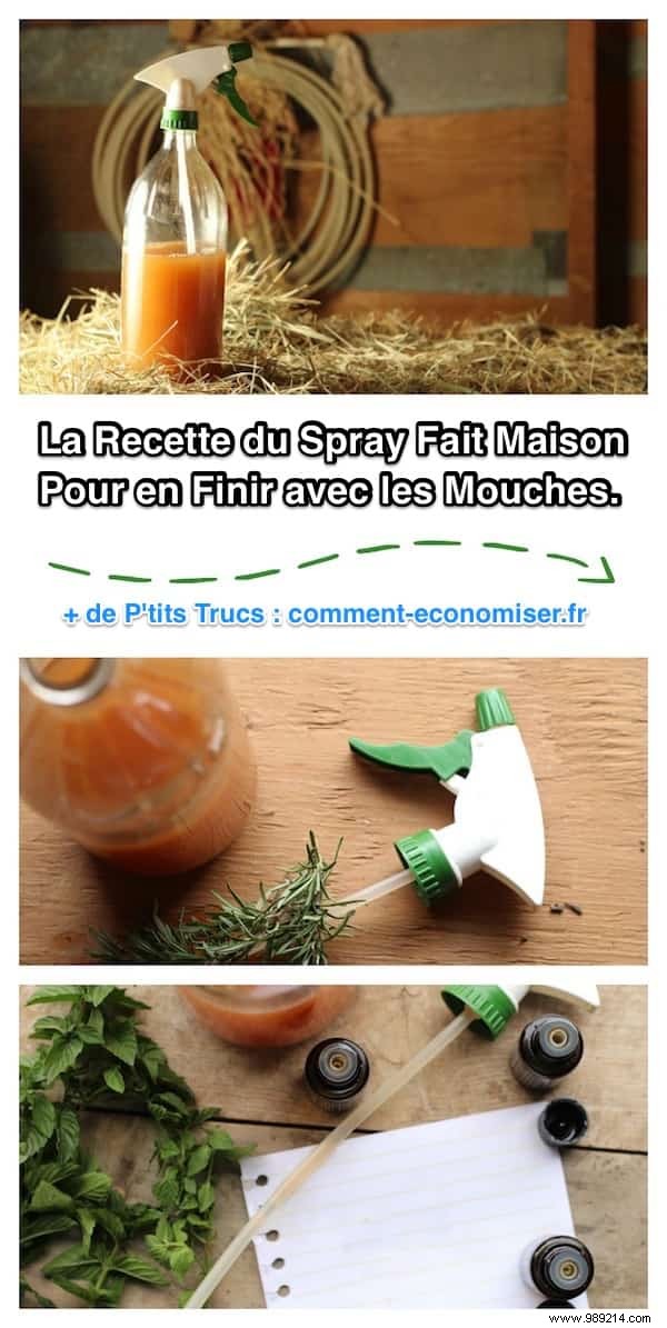 Proven Homemade Fly Repellent Spray for Horses, Cows, and Livestock