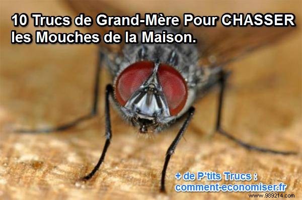 10 Proven Grandma s Remedies to Keep Flies Out of Your Home Naturally